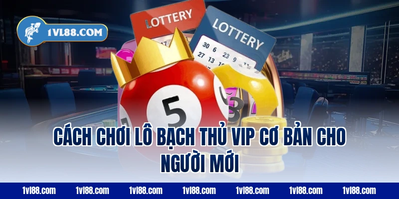 Cách chơi lô bạch thủ VIP cơ bản cho người mới